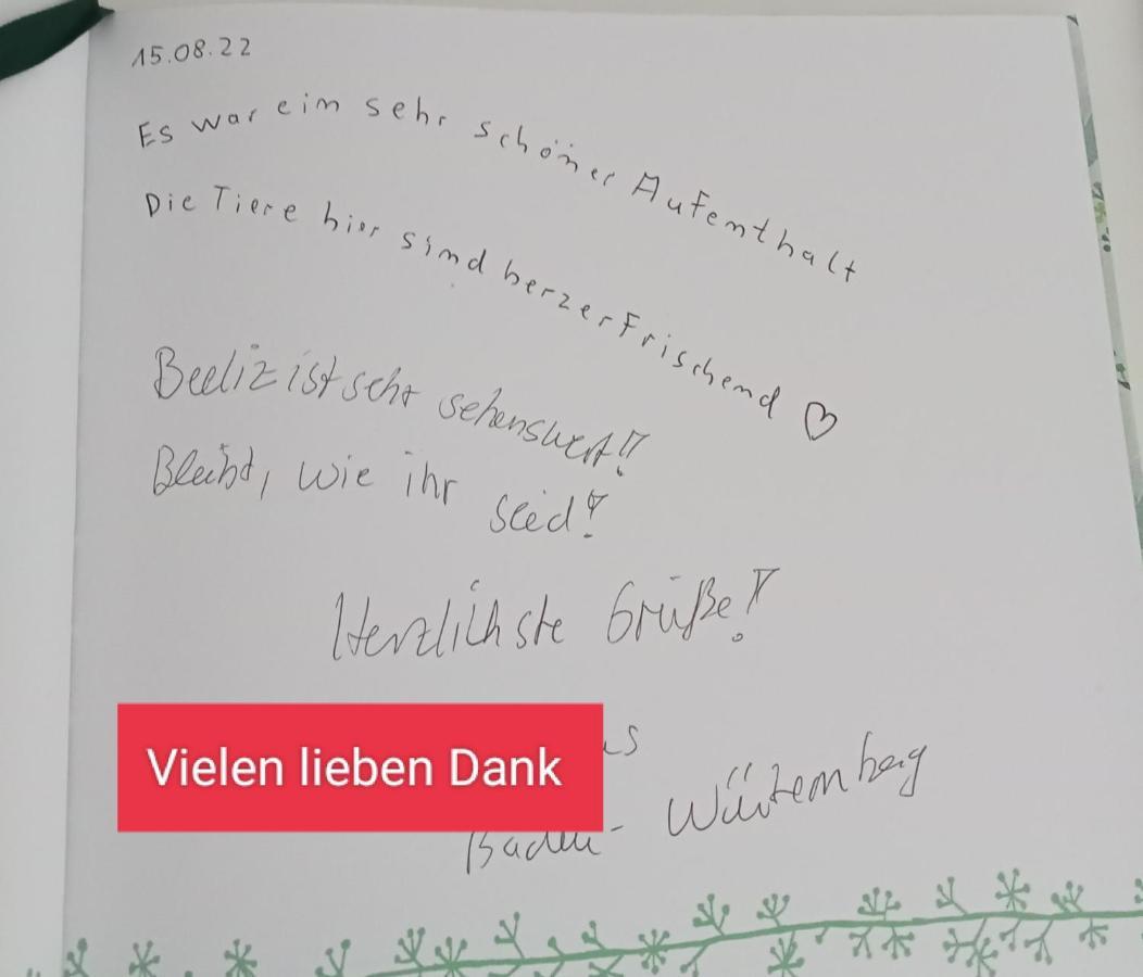 Ferienzimmer Waldzauber Borkwalde Екстериор снимка