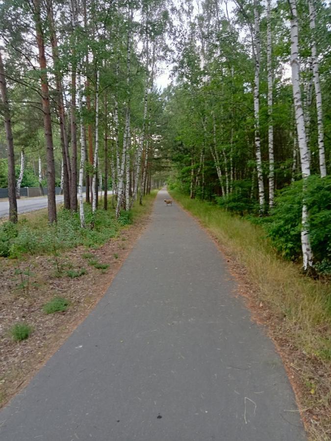 Ferienzimmer Waldzauber Borkwalde Екстериор снимка