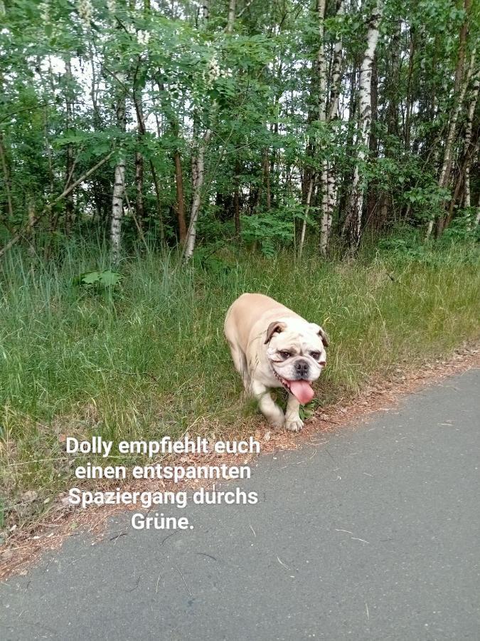 Ferienzimmer Waldzauber Borkwalde Екстериор снимка