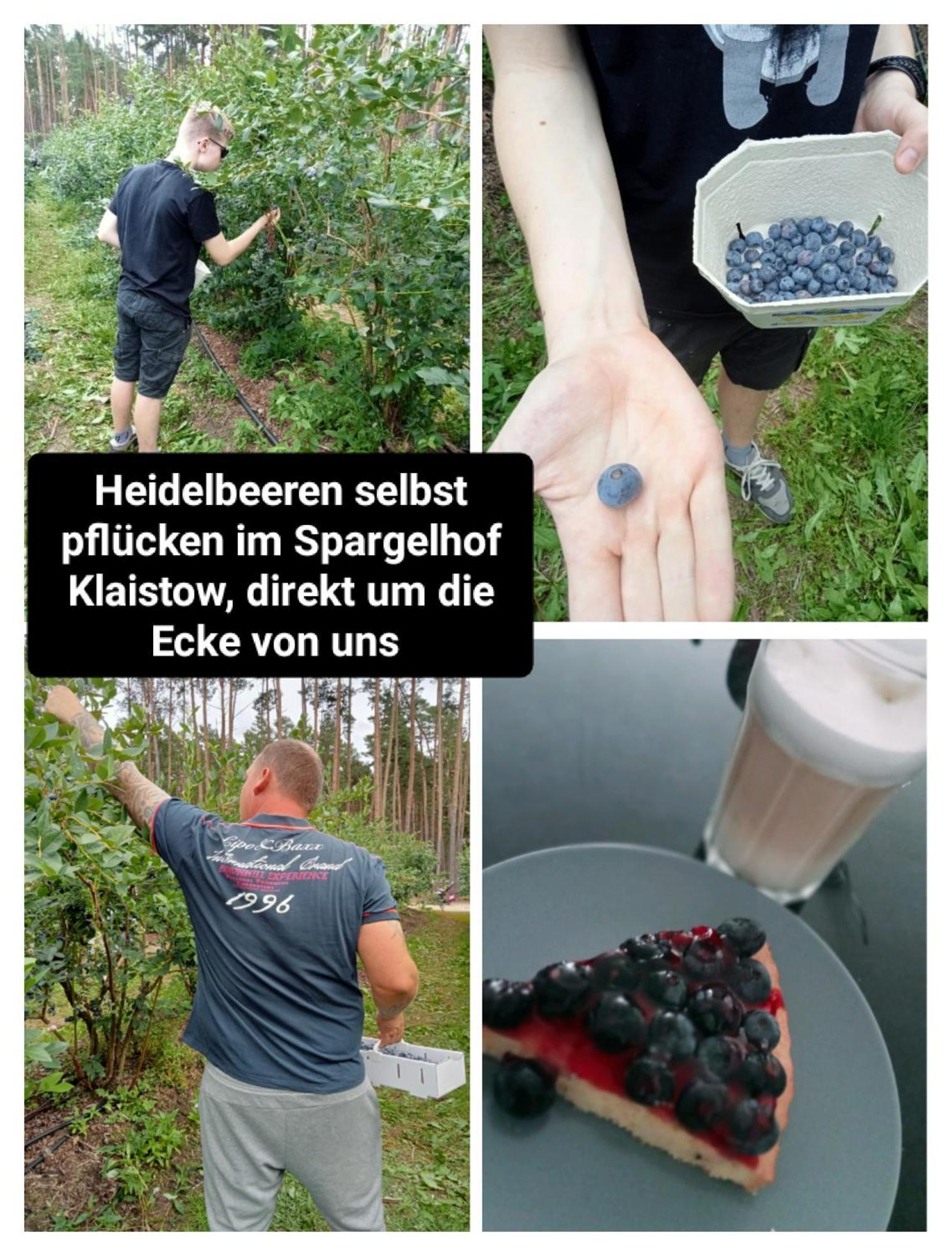 Ferienzimmer Waldzauber Borkwalde Екстериор снимка